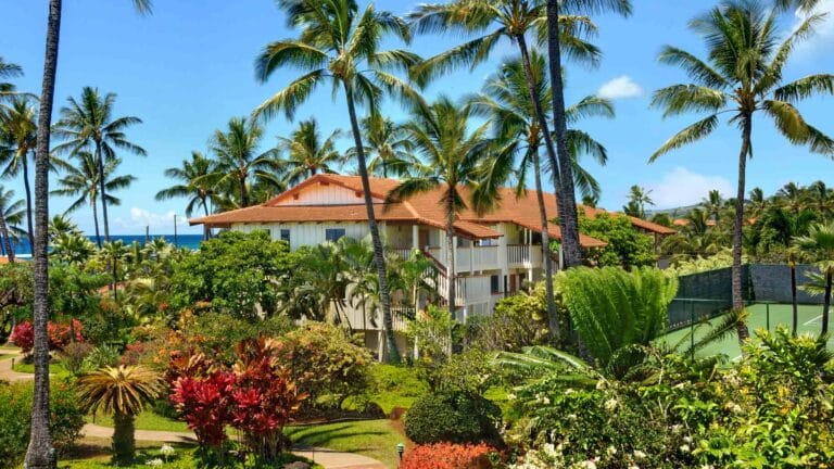 Nihi Kai Resort - Coconut Trees