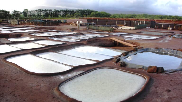 Hanapepe Salt Ponds