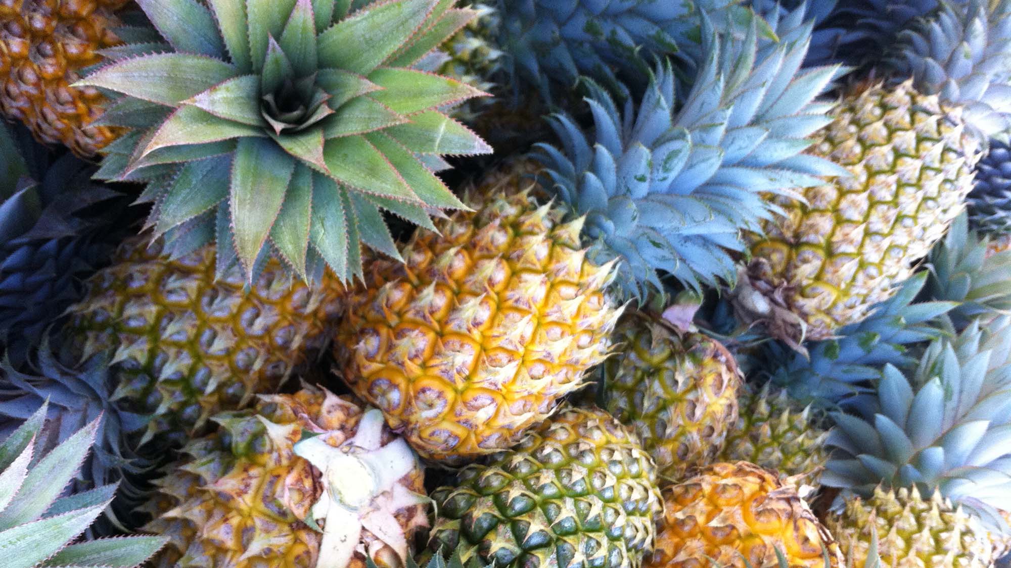 Pineapples from Kauai