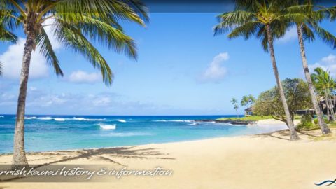 News on Luxury Kauai Vacation Rentals