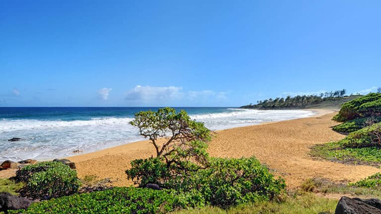 Donkey Beach