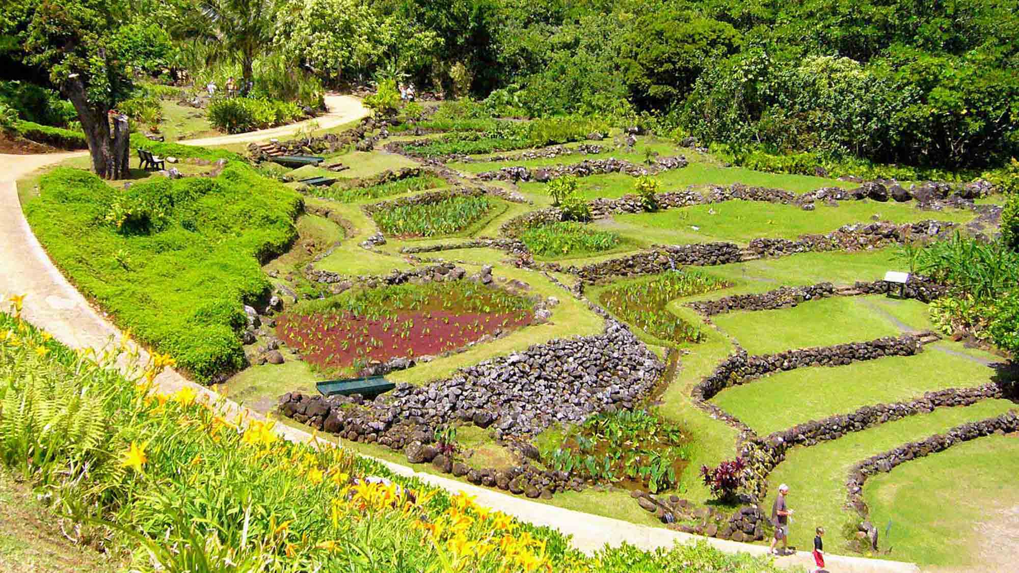 Limahuli Gardens