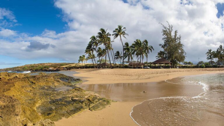 Salt Pond