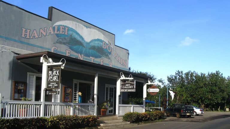Hanalei Dolphin Sushi