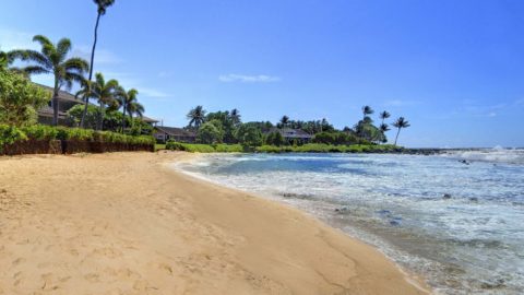 Baby Beach - Parrish Kauai