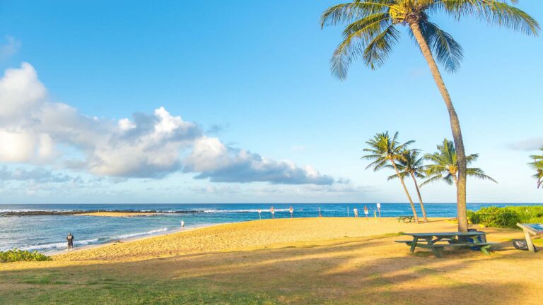 71467922 - man enjoying in his bicycle at poipu beach, kauai island, hawaii