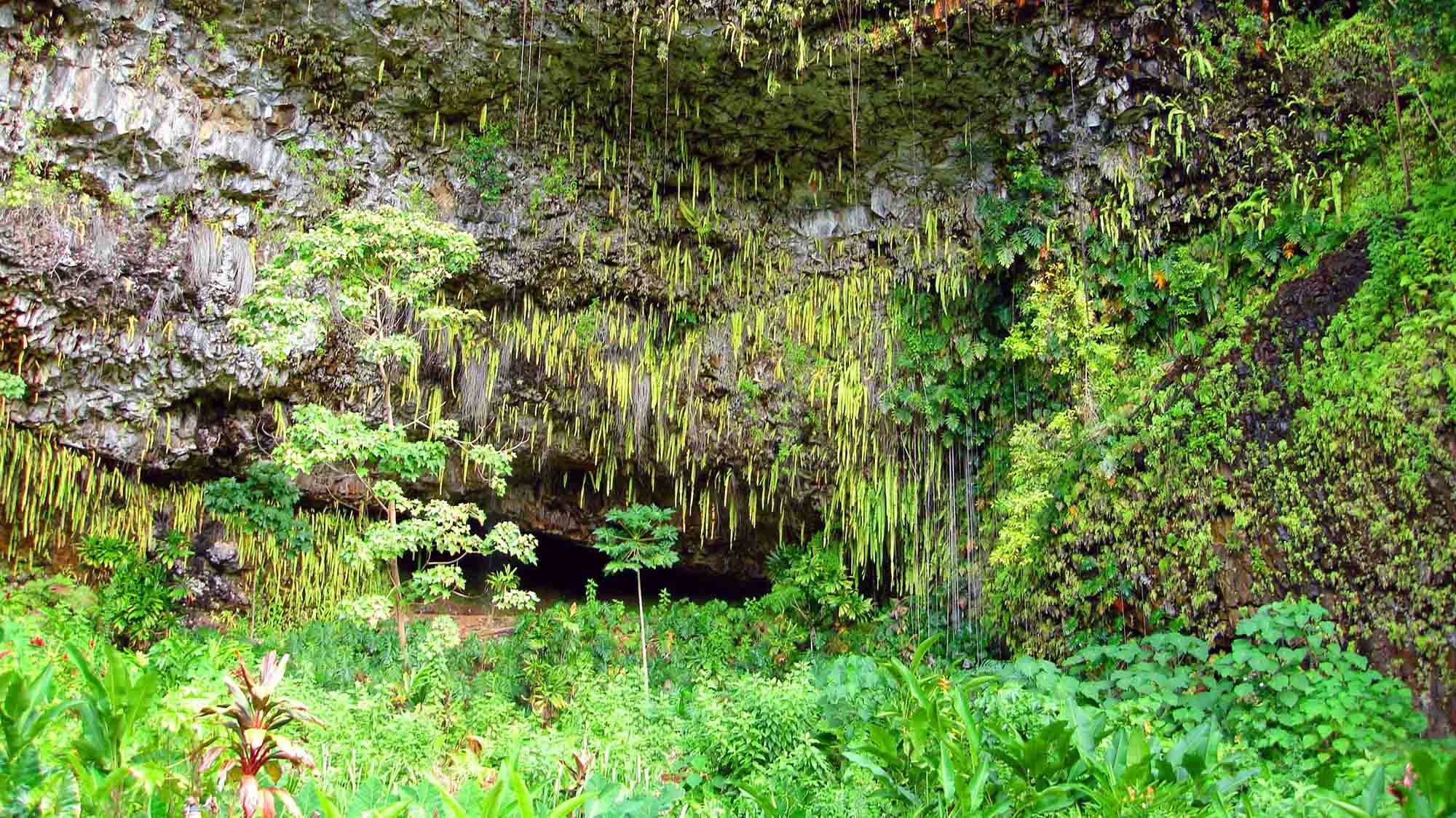 Fern Grotto