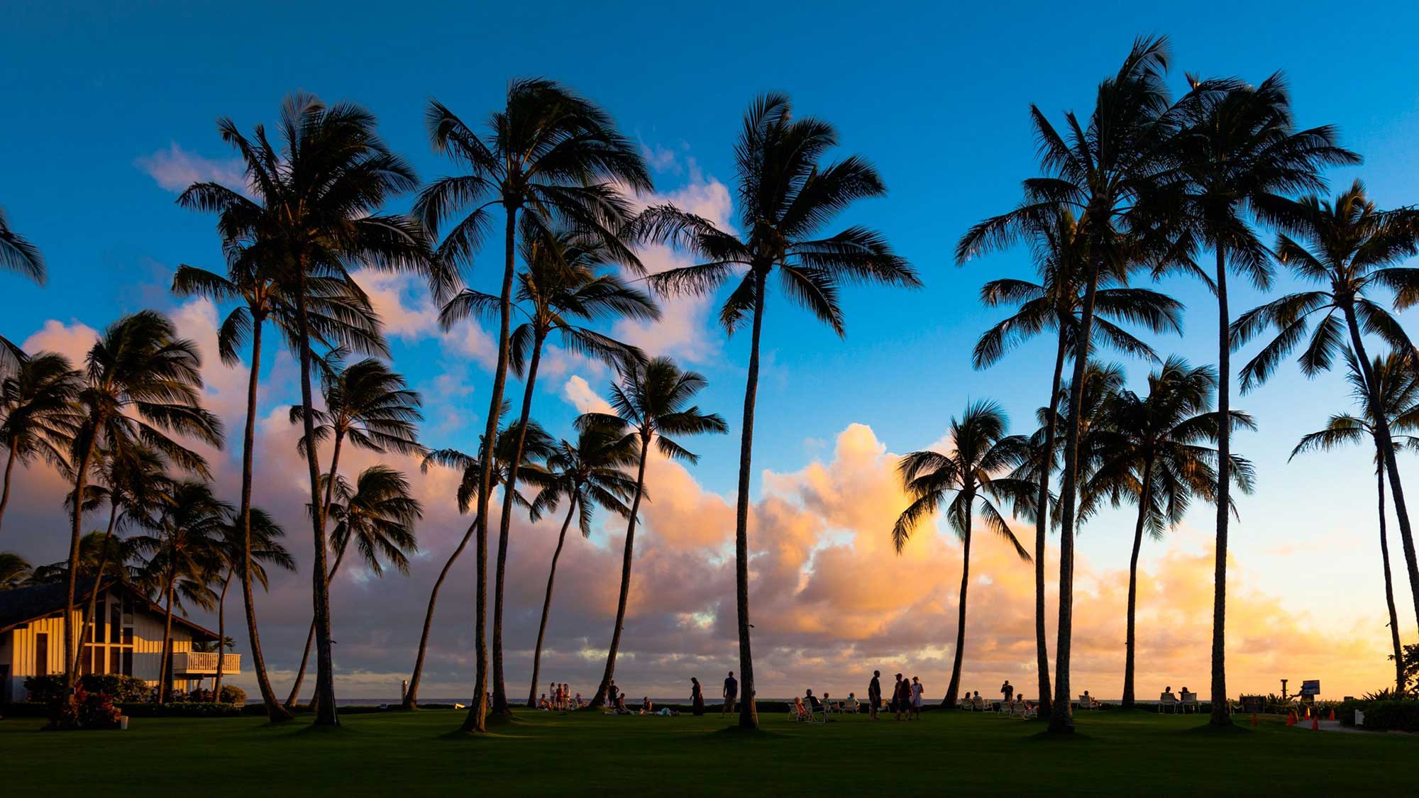 16297171 - beautiful sunset at a tropical beach in kauai, hawaii islands.