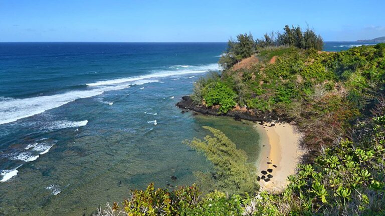 Sealodge Beach