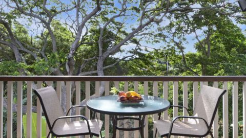 Waikomo Stream Villas #432 - Dining Lanai View - Parrish Kauai