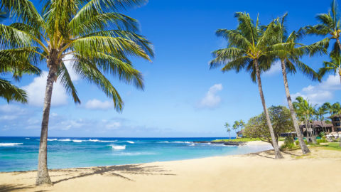 Exceptional Savings at Poipu Beach on Kauai Vacation Rentals