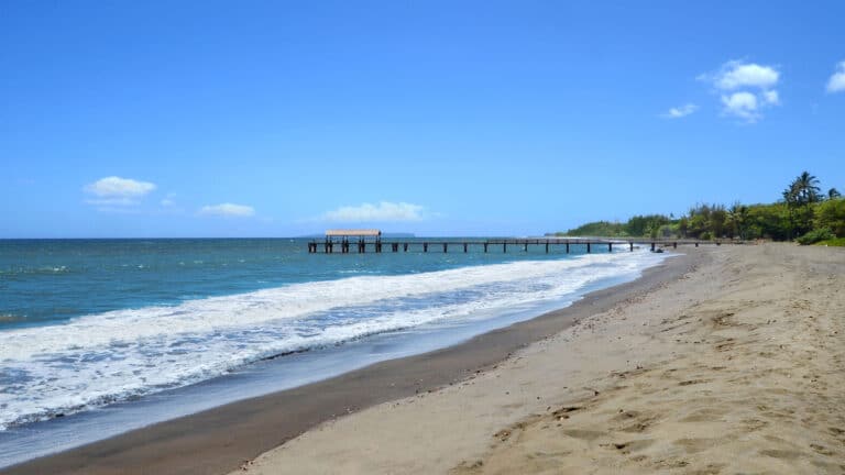 Waimea Beach