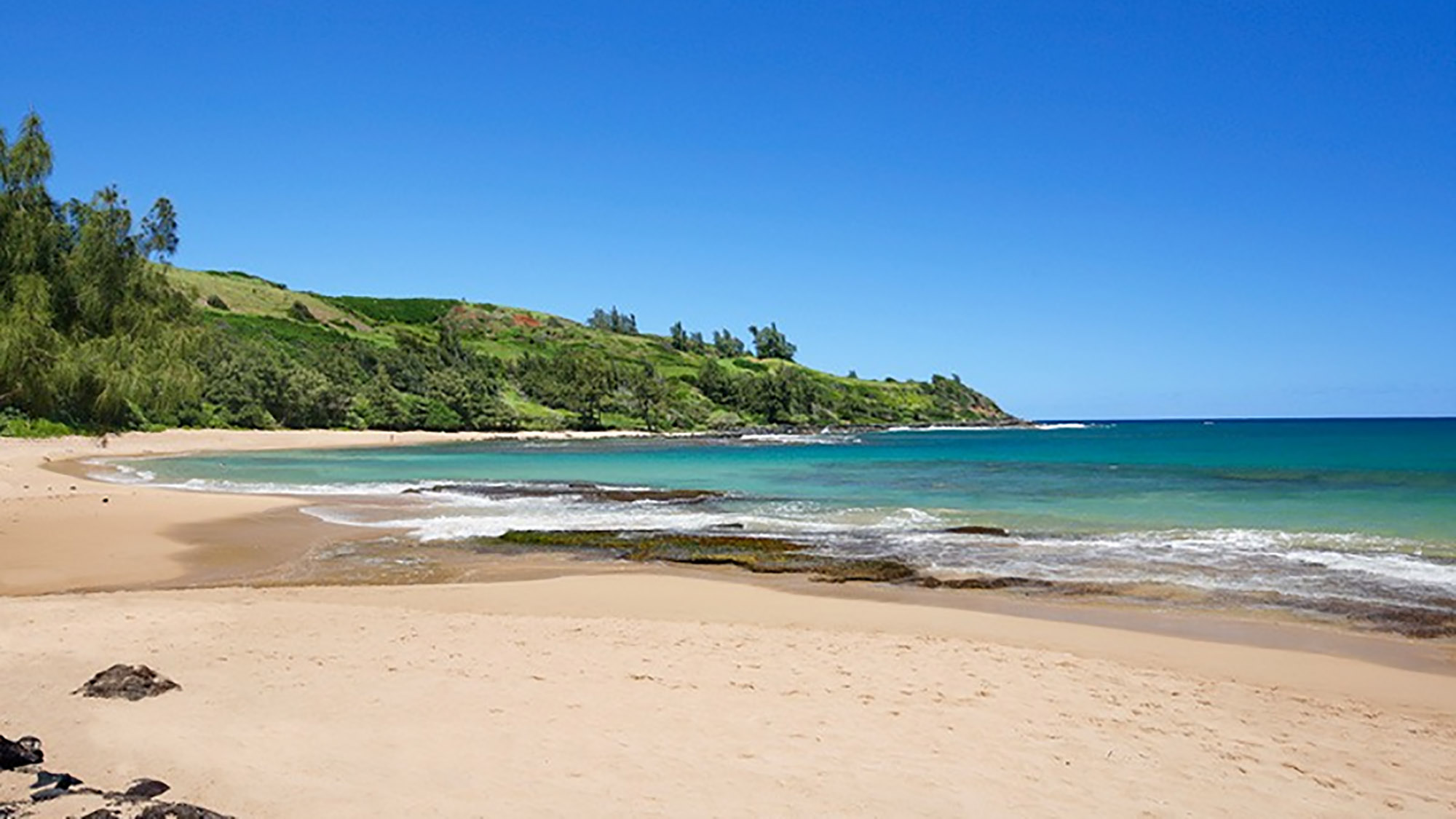 Tide Chart Port Allen Kauai