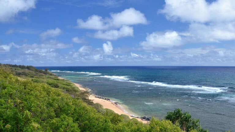 Larsens Beach