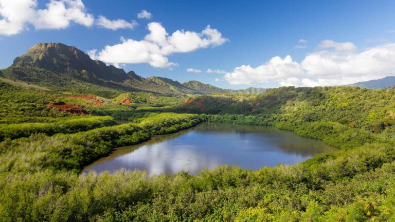Menehune Fish Ponds