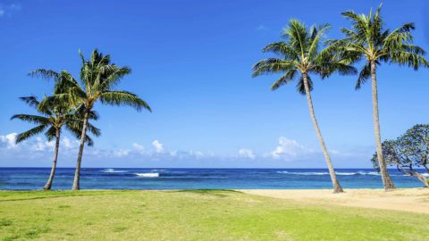 Kiahuna Beach at Poipu | A Kauai Family Favorite