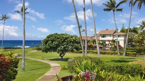 Poipu Beach Kauai Vacation Rentals Feature Hale Halia