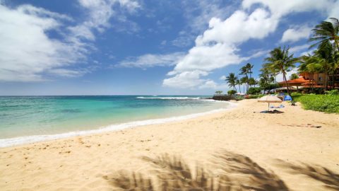 New Sunscreen Legislation Protects Hawaii Coral Reefs