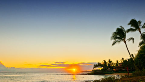 Plan Your Kauai Vacation Today with Local Collection Vacation Rentals