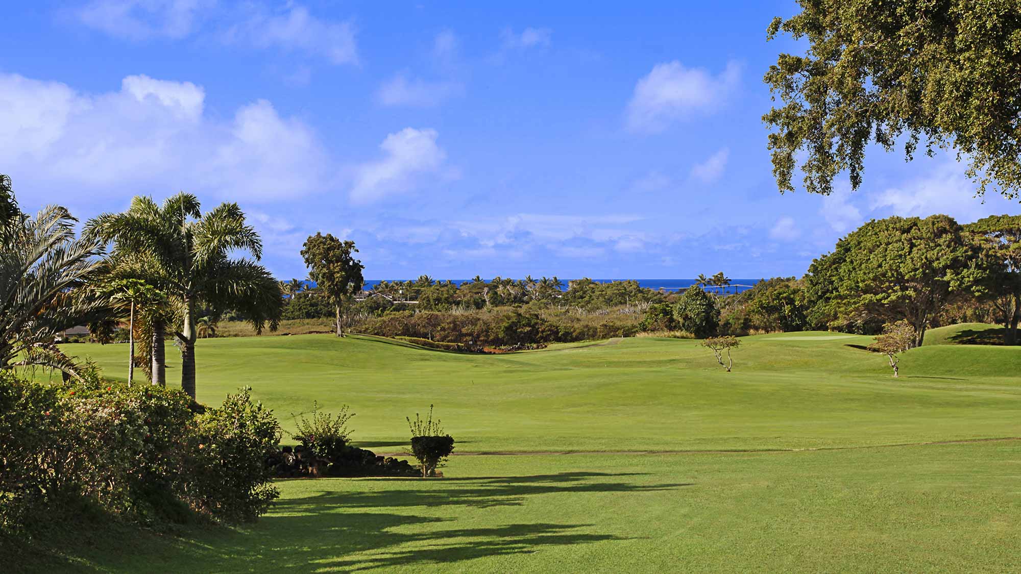 Hale Nolina at Kiahuna - Ocean & Golf Course Views - Parrish Kauai