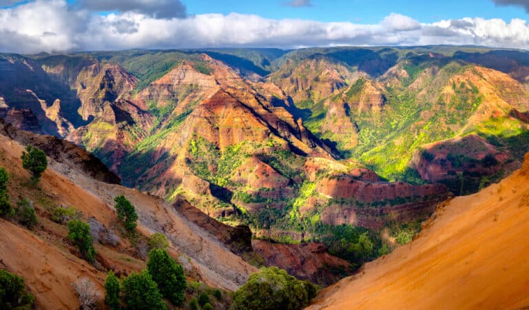 A view of Waimea Canyon on a hike