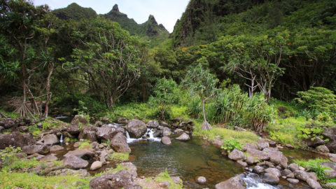 A visit to the scenic Limahuli Garden is one of the best things to do on Kauai's North Shore in the winter