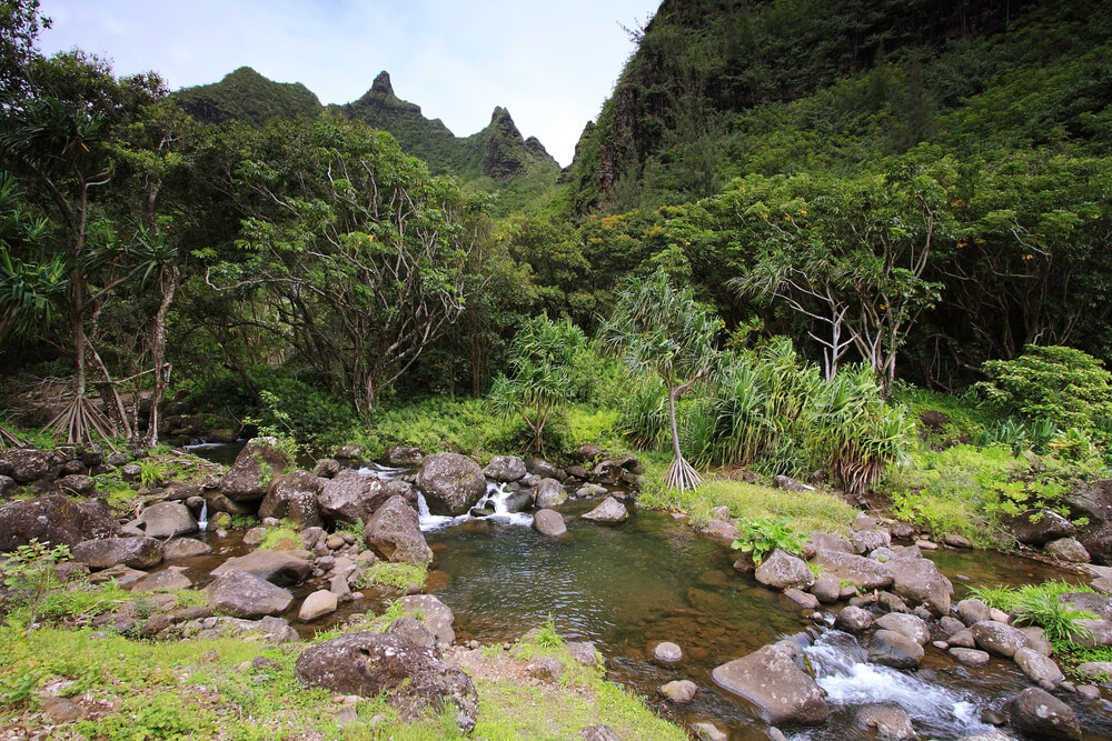 A visit to the scenic Limahuli Garden is one of the best things to do on Kauai's North Shore in the winter