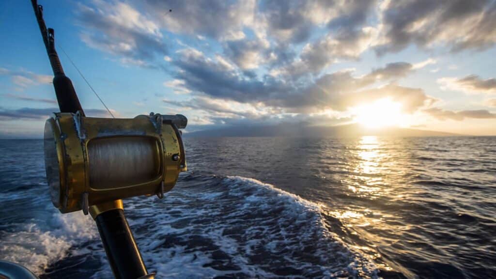 A view of a fishing pole on a fishing charter in Kauai