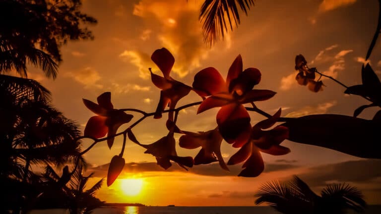 The view from one of Kauai's most romantic restaurants