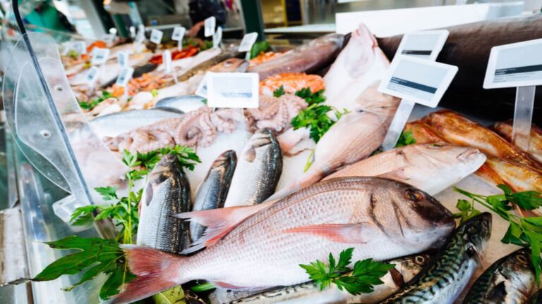 Fish displayed at a fish market on Kauai