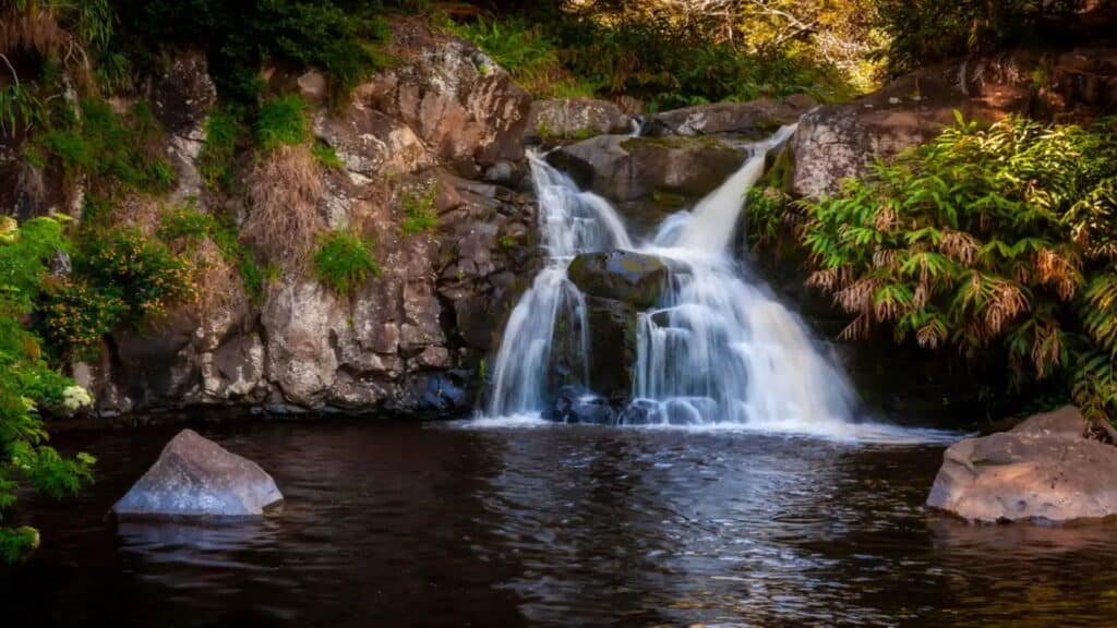 A waterfall with a swimming hole on Kauai