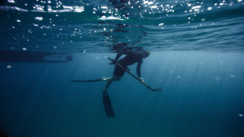 A person spearfishing in Kauai