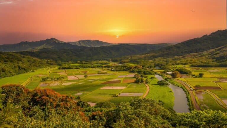 A sunrise over taro fields on Kauai
