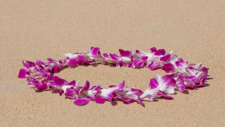 A purple lei on a beach in Kauai during Lei Day