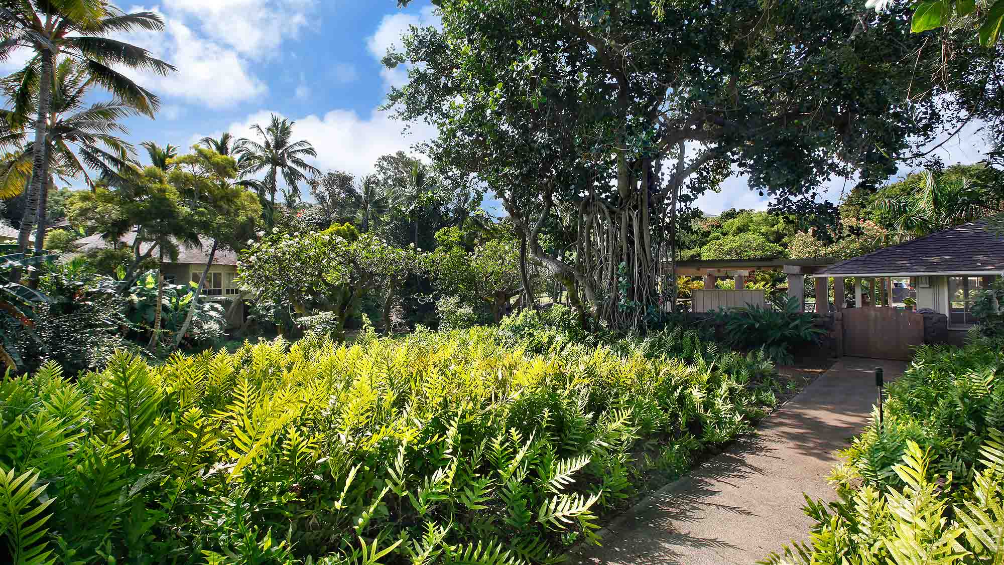 Poipu-Crater-Resort-6-Parrish-Kauai